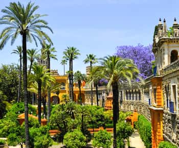 Cathedral, Giralda, and Royal Alcázar Guided Tour