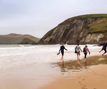 Dingle-Tagestour ab Limerick