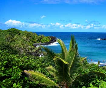 Maui: Road to Hana Waterfalls Tour with Lunch