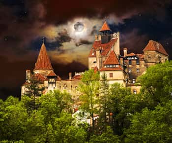 Guided Castle Tour