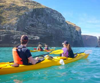 Akaroa: Safari met 4WD en begeleide kajakervaring op zee