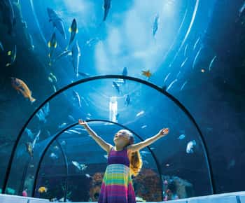 ケベック：ケベック水族館入場券