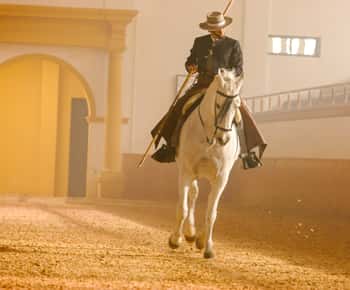 Jerez de la Frontera: How the Andalusian Horses Dance