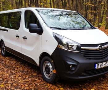 Privater Transfer von Giurgiu Hafen nach Bukarest