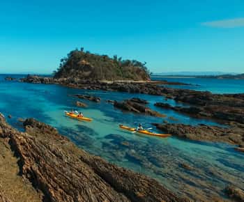 Batemans Bay: Half-Day Sea Kayak Tour