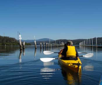 Batemans Bay: Oyster Tasting Kayak Tour