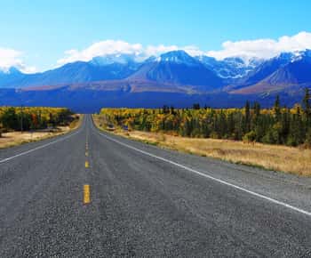 Parco Nazionale di Kluane: Tour di un giorno intero