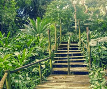 Nadi: Garden Village Hot Spring & Temple Highlights Tour