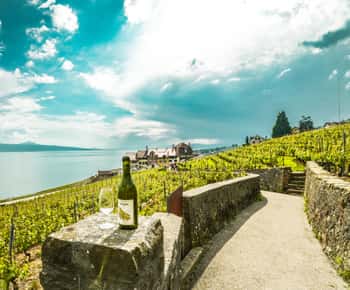 Genebra: Montreux, Mundo de Chaplin, Castelo de Chillon & Apéritif