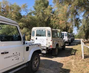 Из Арля: сафари на 4x4 по Камаргу на полдня