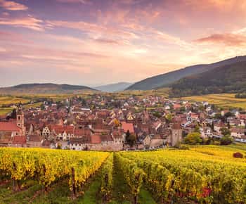 From Colmar: 4 Wonders of Alsace Day Tour