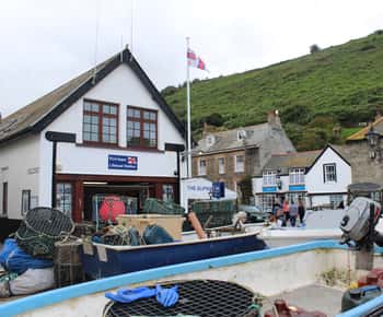 Tour Doc Martin