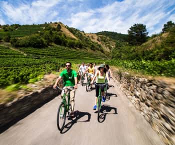 Pastoreio de uvas: Passeio de bicicleta pelas adegas do Vale de Wachau