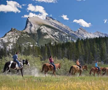 Banff: 3-godzinna przejażdżka konna Bow Valley Loop