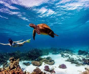 Mombasa: Kisite Park Private Cruise with Breakfast and Lunch