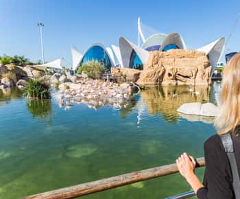 Valência: Combo Oceanogràfic e Museu da Ciência