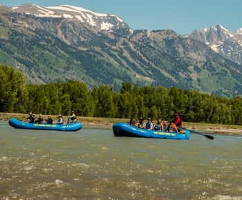 13-Meilen-Rafting-Erlebnis auf dem Snake River von Jackson aus
