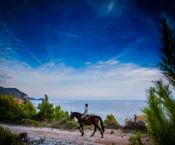 Dubrovnik Kojan Koral: Reiten