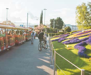 Genf: City Pass mit 60 Aktivitäten