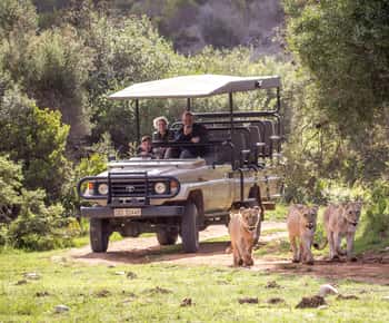 Little Brak River: Botlierskop guidet safaritur