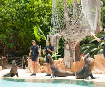 Entry Ticket to Tenerife's Jungle Park Zoo