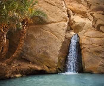Tozeur: Tamerza, Chebika, and Mides Canyons Half-Day Trip