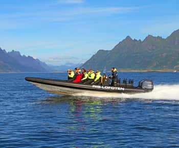 Au départ de Svolvær : safari en zodiac Sea Eagle dans les Lofoten et croisière dans le Trollfjord