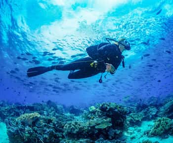 Bali: 3-Days PADI Open Water Diving Course