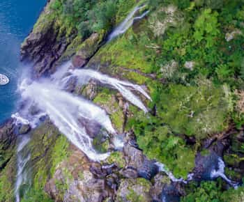 Milford Sound: Boutique Small-Boat Cruise