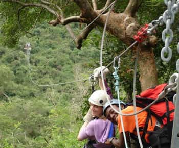 Hazyview: 2.5-Hour Sabie River Zip Line Experience