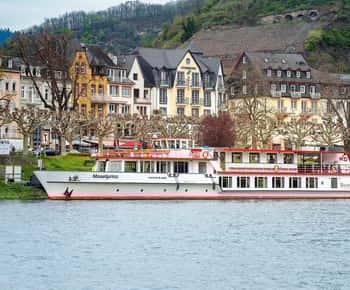Cochem : Croisière panoramique sur la Moselle