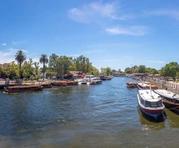 Tigre : Tour en bateau panoramique du delta du fleuve