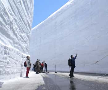 From Nagano: Tateyama-Kurobe Alpine Route
