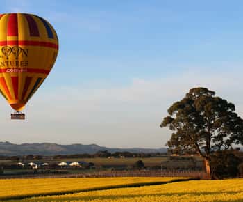 Barossa Valley: Hot Air Balloon Flight