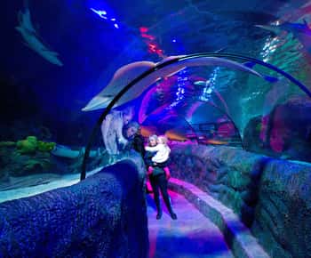 Loch Lomond: Indgangsbillet til Sea Life