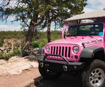 Tusayan: Grand Canyon Desert View & South Rim Pink Jeep Tour