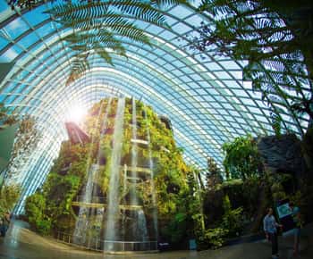 Gardens by the Bay Admission E-Ticket