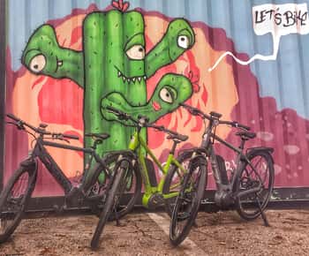 Austin: Electric Bike City Sightseeing Tour