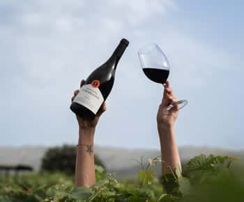 Pinhão: Visita à Quinta da Formigosa e degustação de vinhos