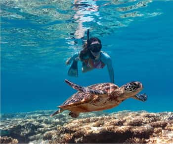 Bali: Blue Lagoon Snorkeling with Lunch & Transport
