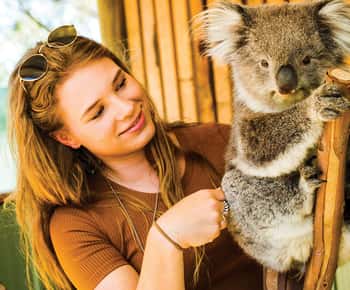Moonlit Sanctuary Conservation Park Entry Ticket