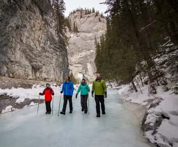 Banff: Grotto Canyon Icewalk