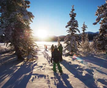 Whitehorse: Tour di mezza giornata con le ciaspole