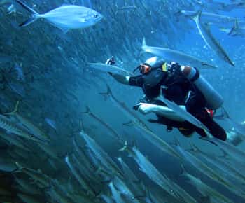 Koh Kood: Discover Scuba Diving for Beginners with 2 Dives
