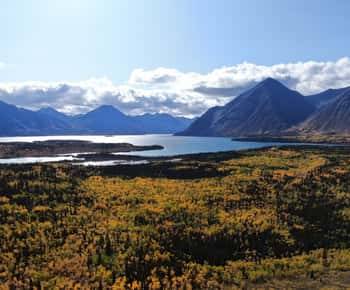 Whitehorse: escursione di un giorno al Parco Nazionale di Kluane e a Haines Junction