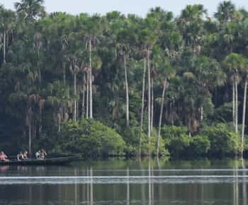 Puerto Maldonado: Escursione di un'intera giornata al lago Sandoval con canoa
