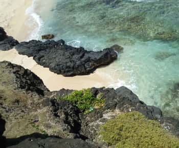 Mauritius: Vanilla Park and Wild Beaches Tour