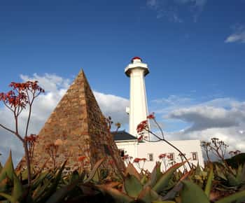 Port Elizabeth: City Tour and Wildlife Safari 4x4 Adventure
