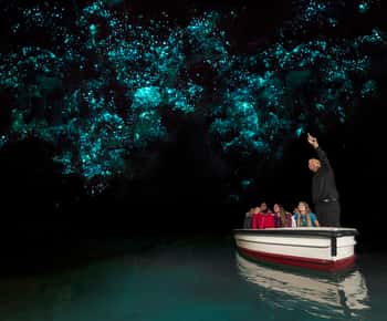 From Auckland: Two-Day Hobbiton, Rotorua, Waitomo Caves Tour