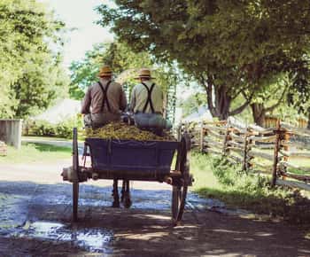 Lancaster: Downtown & Amish Country Authentic Lancaster Tour